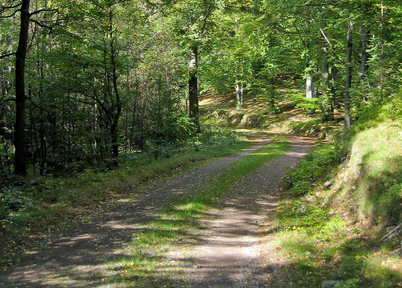 Mysiga vandringsvägar kring vår stugby