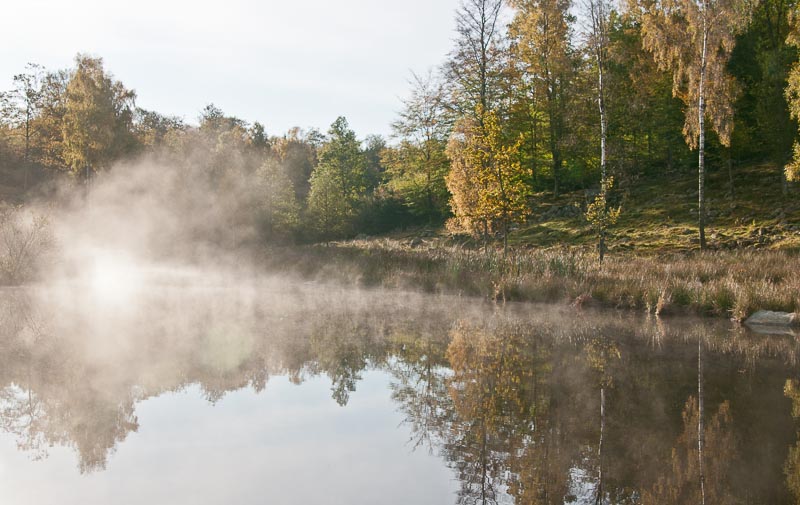 Upplev naturen i Mittskåne och bo i en stuga