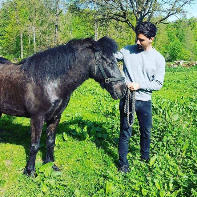 Horse-riding-on-Icelandic-horse-ridning-Islänning-Ullstorps-stugor-skåne1-1