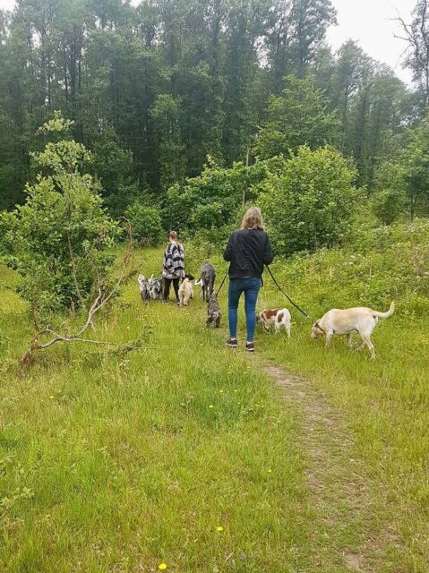 Lilla Björn Bjelke promenad