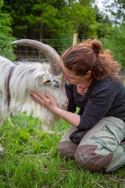 Magne och jag Healing goat fedding the animals healing bock Mata djuren Ullstorps stugor Skånekopia