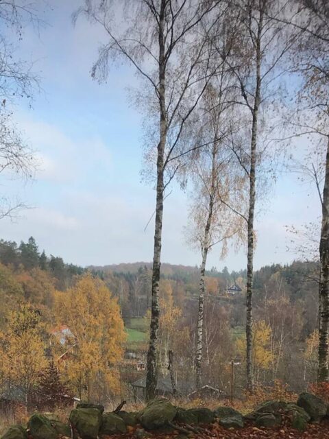 Viewpoint-utsiktplats-Ullstorps-stugor-Skåne2