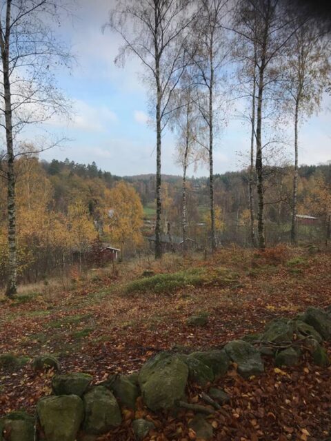 Viewpoint-utsiktplats-Ullstorps-stugor-Skåne3