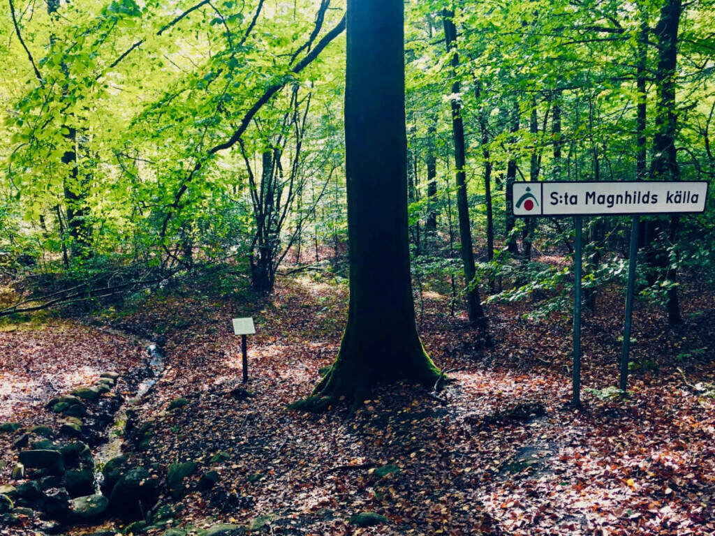 hiking trail ullstorp sweden