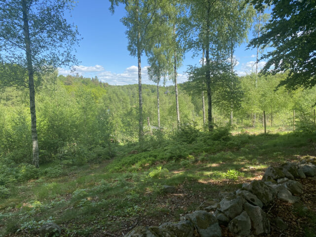 Utsikten view Ullstorps Stugor