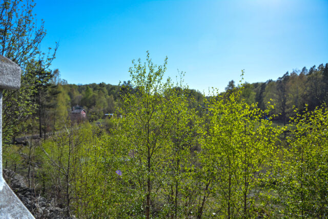 Bergshus spring view Ullstorps stugor