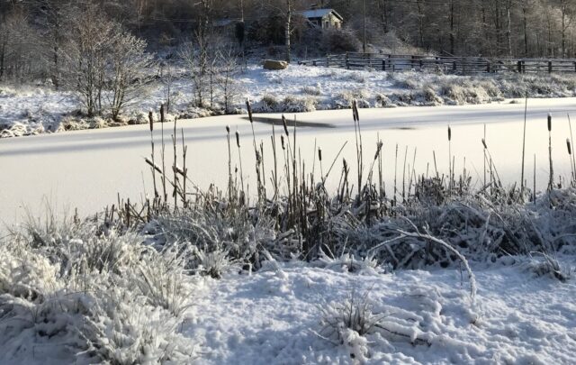 Vinter på ullstorp